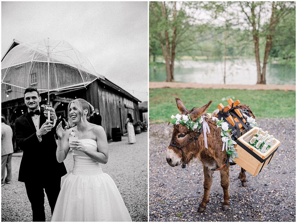 Big Spring Farm Wedding